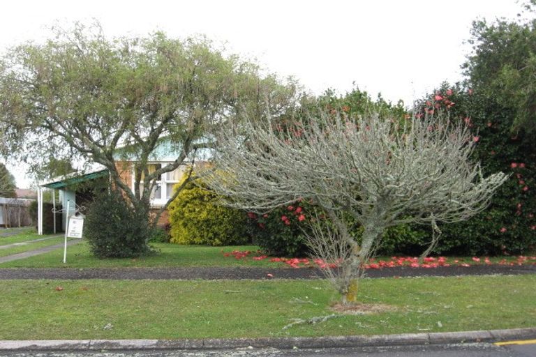 Photo of property in 10 Casper Street, Fairfield, Hamilton, 3214