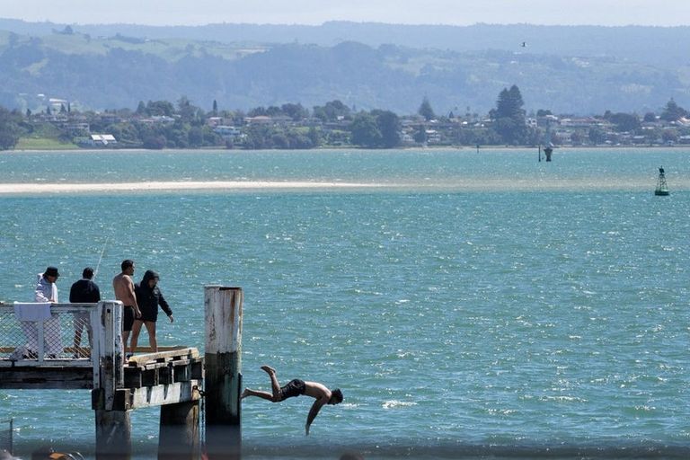 Photo of property in 3 Commons Avenue, Mount Maunganui, 3116