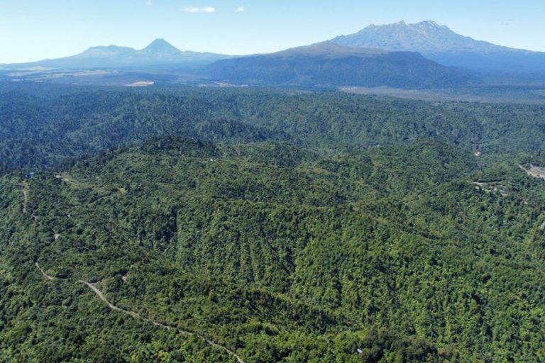 Photo of property in 552 Cuff Road, Erua, Owhango, 3990
