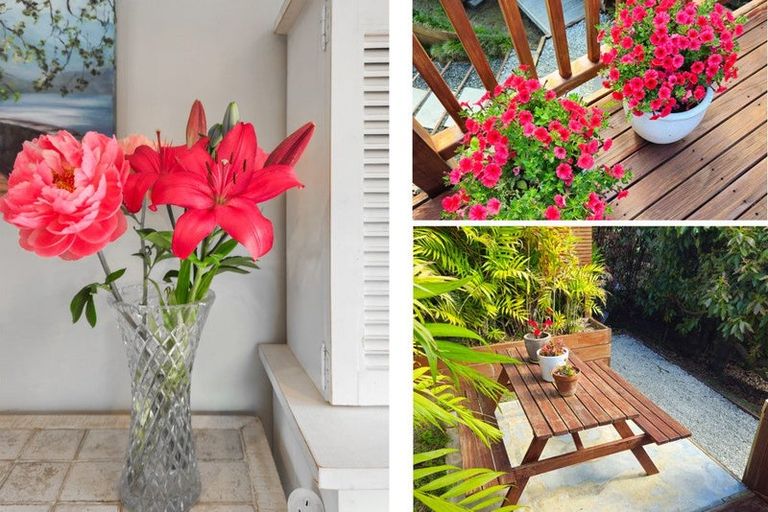 Photo of property in 105 Orion Drive, Welcome Bay, Tauranga, 3112