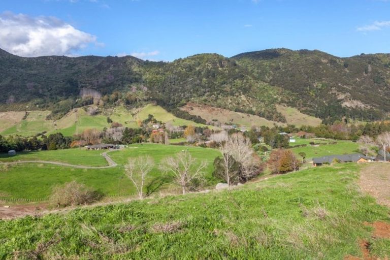 Photo of property in 78 Packtrack Road, Thames, 3577