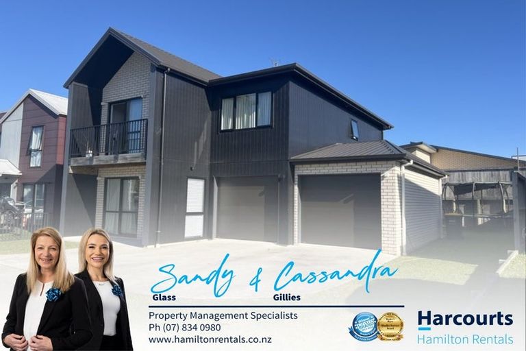 Photo of property in 45 Tennille Street, Flagstaff, Hamilton, 3210