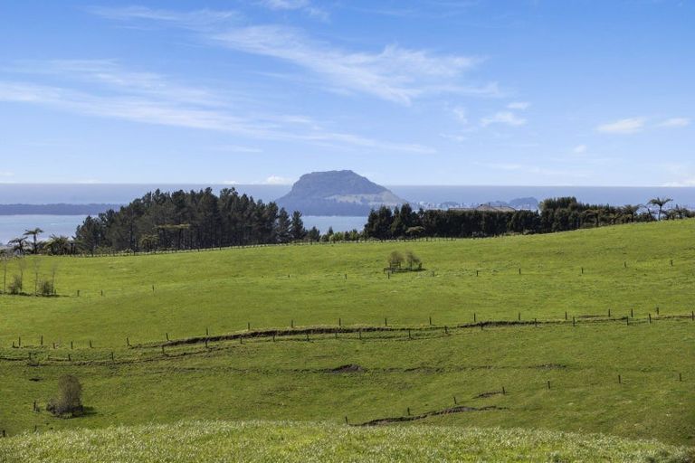 Photo of property in 596a Minden Road, Minden, Tauranga, 3176