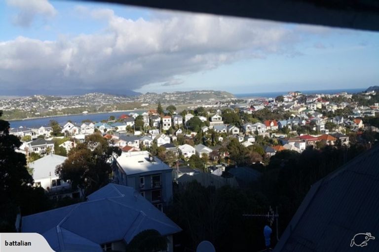 Photo of property in 81 Rakau Road, Hataitai, Wellington, 6021