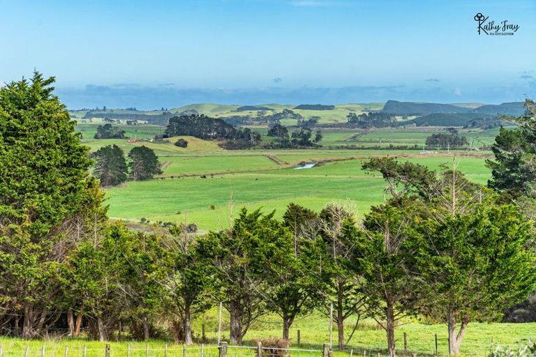 Photo of property in 171 Opanake Road, Parore, Dargaville, 0372