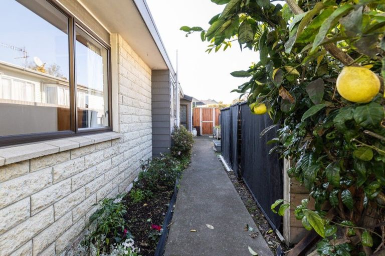 Photo of property in 2/8 Duart Road, Havelock North, 4130