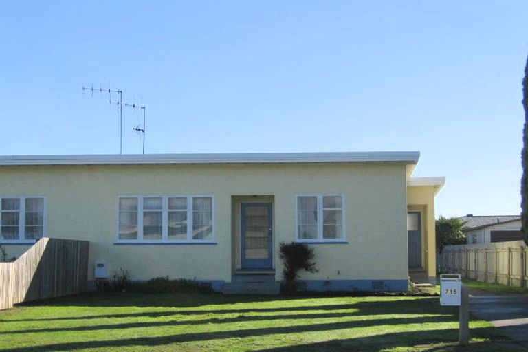 Photo of property in 715-717 Ngaio Street, Mahora, Hastings, 4120