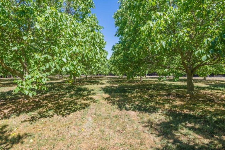 Photo of property in 138 Cullen Avenue, Swannanoa, 7475