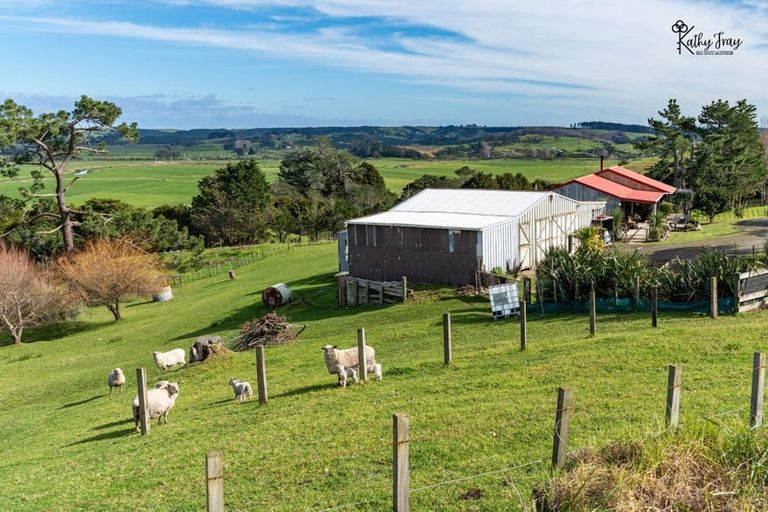 Photo of property in 171 Opanake Road, Parore, Dargaville, 0372