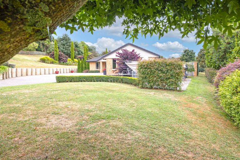 Photo of property in 11 Linehan Road, Te Awamutu, 3875