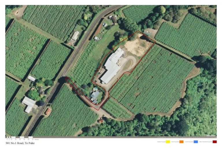 Photo of property in 591a No 1 Road, Te Puke, 3182