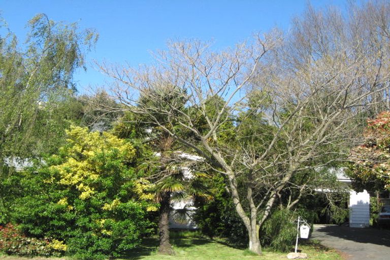Photo of property in 207a Annesbrook Drive, Wakatu, Nelson, 7011