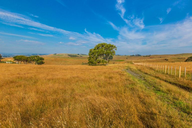 Photo of property in 81 Upper Wainui Road, Raglan, 3297