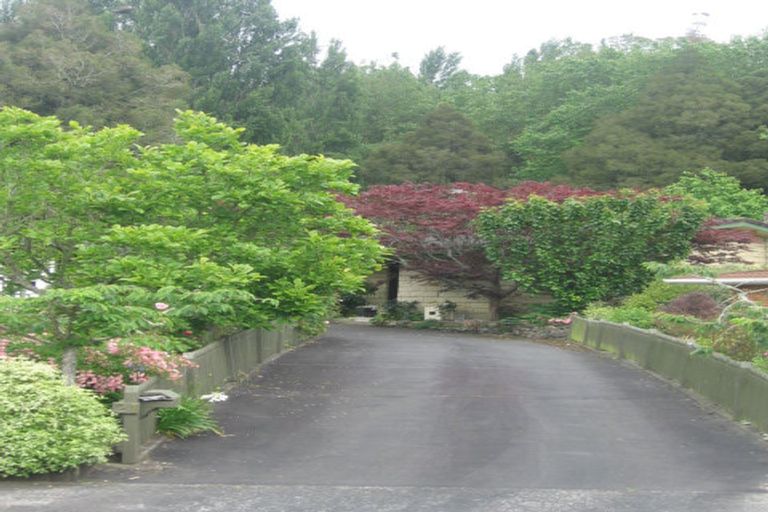 Photo of property in 21 Colin Brook Place, Te Kuiti, 3910