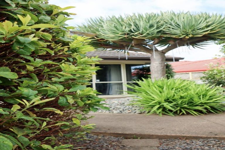 Photo of property in 14b Rosberg Place, Mount Maunganui, 3116