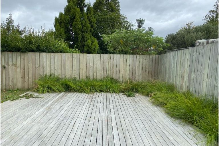 Photo of property in 22u2 Thomson Avenue, Dinsdale, Hamilton, 3204