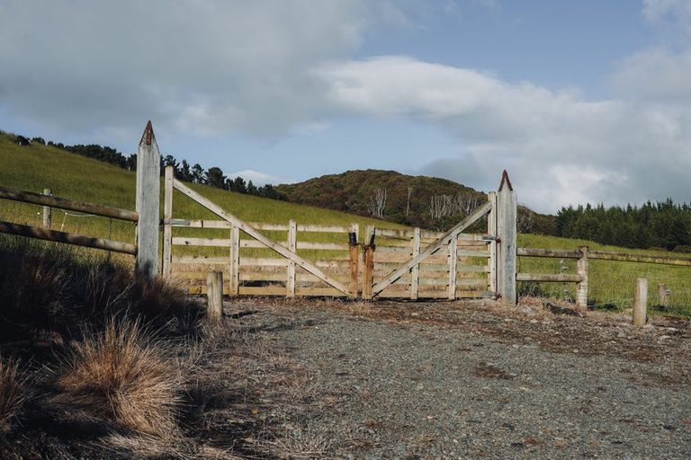Photo of property in 65a Selwyn Crescent, Forrest Hill, Auckland, 0620