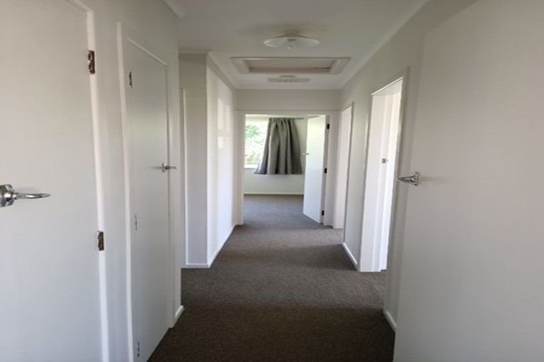 Photo of property in 9 Casper Street, Fairfield, Hamilton, 3214