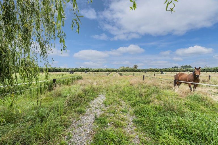 Photo of property in 209 Leithfield Road, Leithfield, Amberley, 7481
