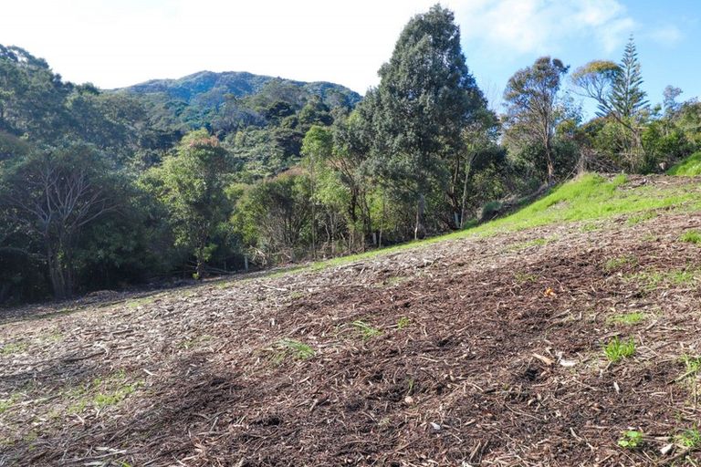 Photo of property in 104a Irishtown Road, Thames, 3500