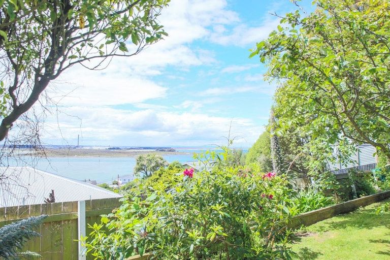 Photo of property in 46 Walker Street, Bluff, 9814