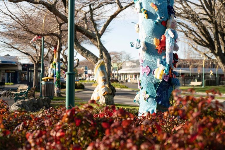 Photo of property in 1210 Cameron Road, Gate Pa, Tauranga, 3112