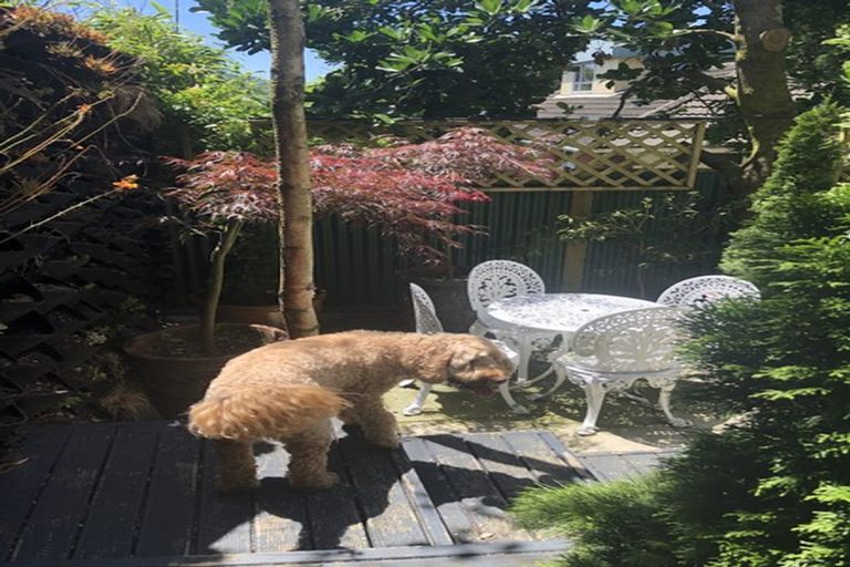 Photo of property in 5 Jefferson Street, Brooklyn, Wellington, 6021