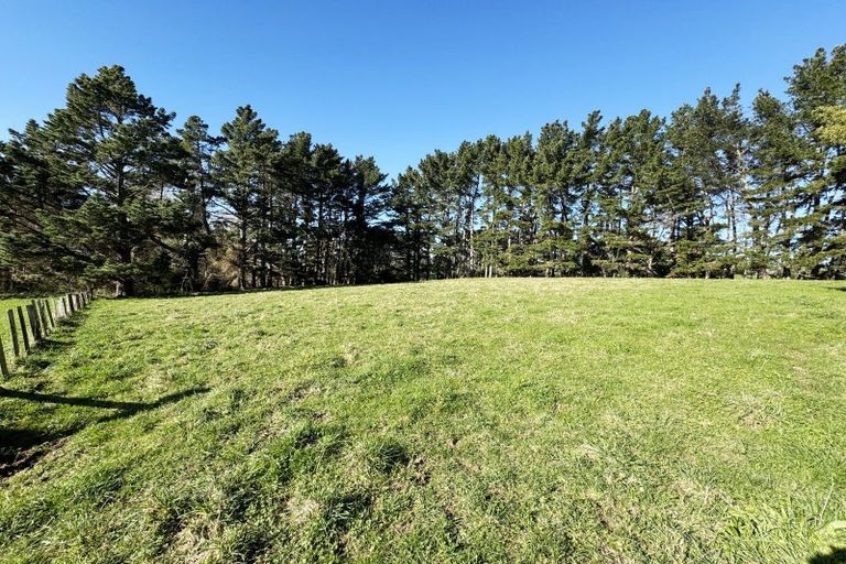 Photo of property in 82 Jacksons Road, Koputaroa, Shannon, 5575
