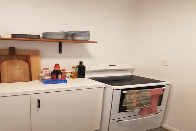 Photo of property in 55f2 Hamilton Road, Hataitai, Wellington, 6021