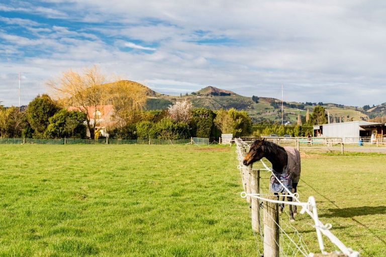 Photo of property in 255 Riccarton Road West, Mosgiel, 9092