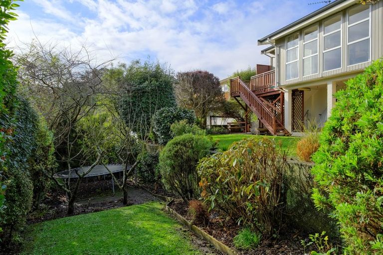 Photo of property in 10 Heath Street, Andersons Bay, Dunedin, 9013