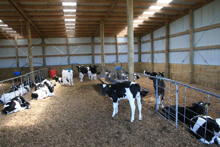 Photo of property in 343 Opunake Road, Cardiff, Stratford, 4391