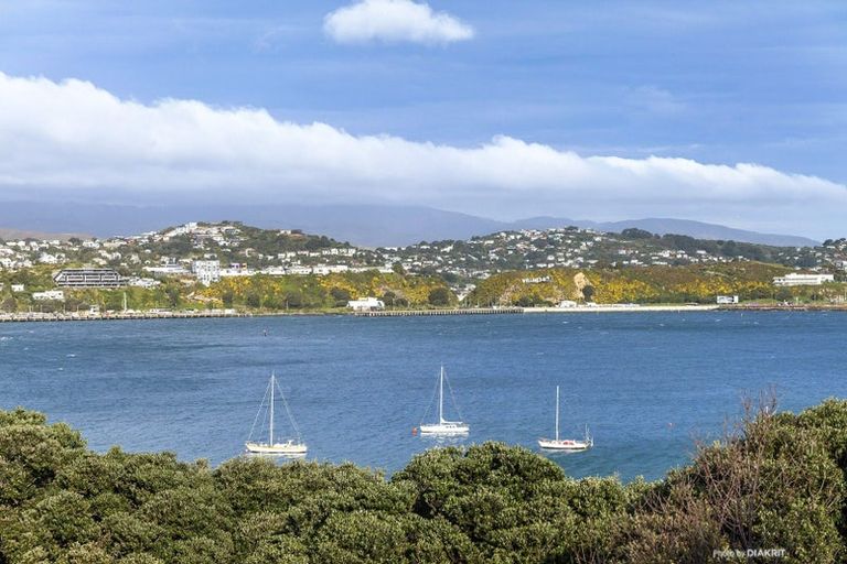 Photo of property in 13 Rewa Road, Hataitai, Wellington, 6021