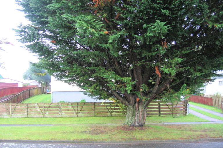 Photo of property in 12 Inman Avenue, Tokoroa, 3420