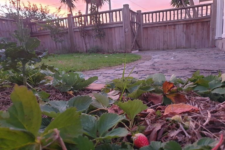 Photo of property in 192 Bankwood Road, Chartwell, Hamilton, 3210