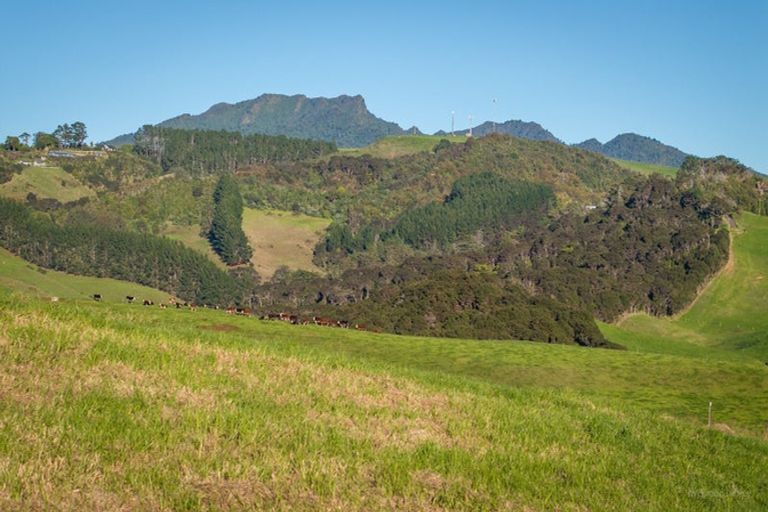 Photo of property in 8 Rereahu Street, Raglan, 3225