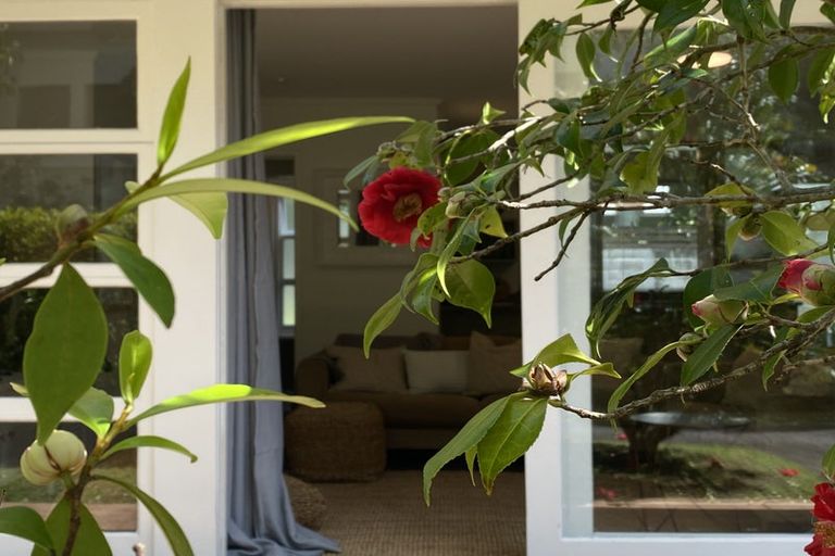 Photo of property in 1/10 Blomfield Spa, Takapuna, Auckland, 0622