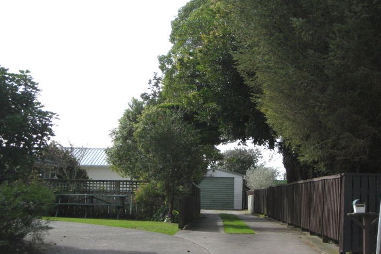 Photo of property in 38 Henderson Street, Whakatane, 3120