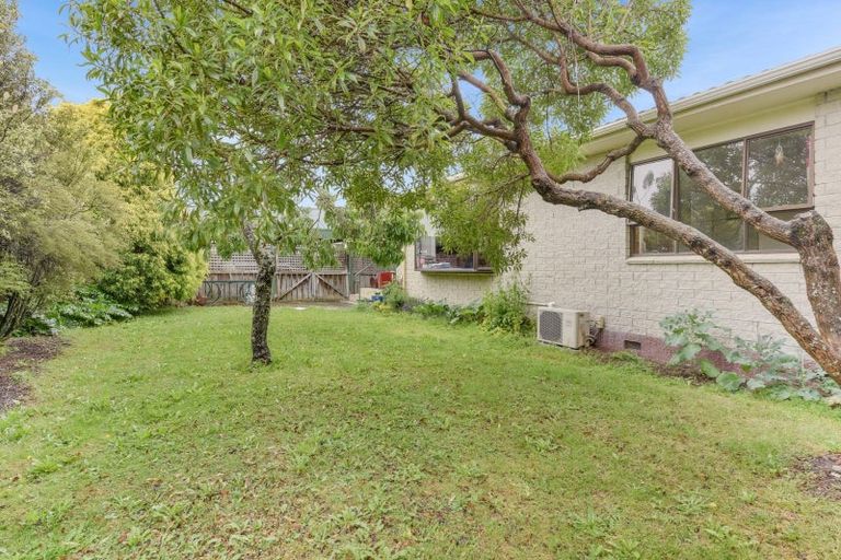 Photo of property in 19a Fauchelle Avenue, Richmond, 7020