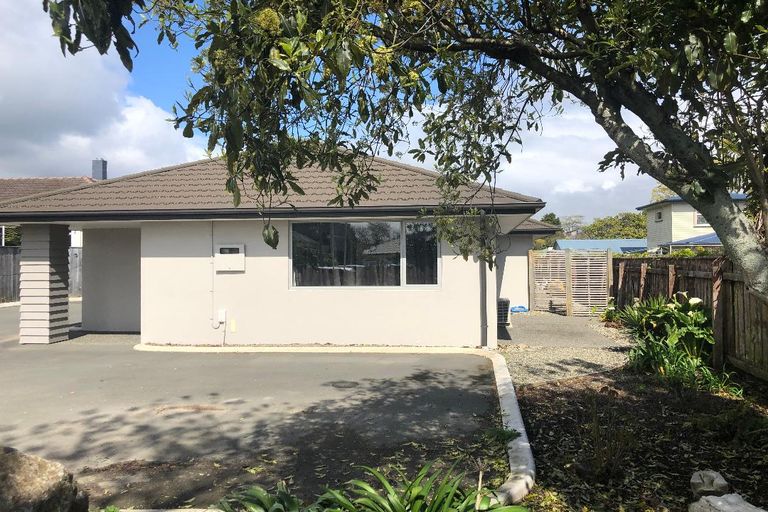 Photo of property in 175 Queen Street, Richmond, 7020