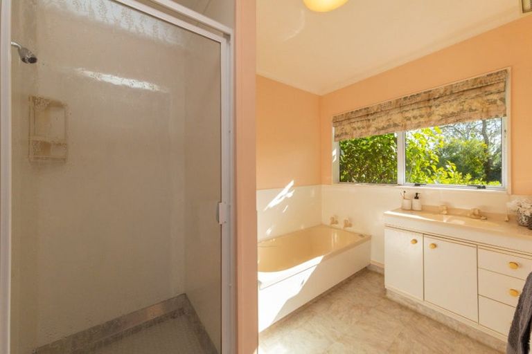 Photo of property in 84 Awahou Road South, Ashhurst, 4884