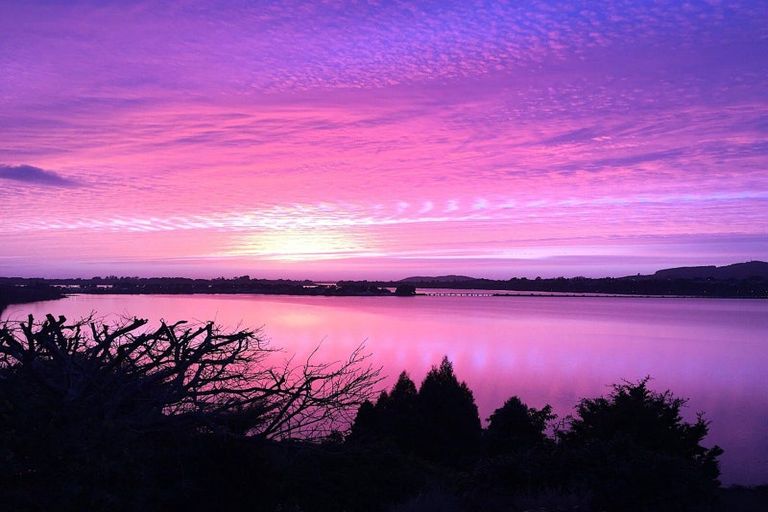 Photo of property in 49 Baycroft Avenue, Parkvale, Tauranga, 3112