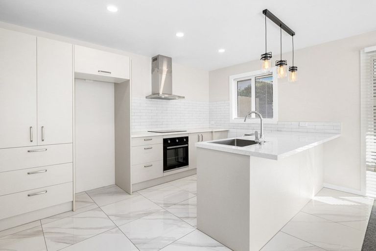 Photo of property in 55 Havelock Street, Mornington, Dunedin, 9011