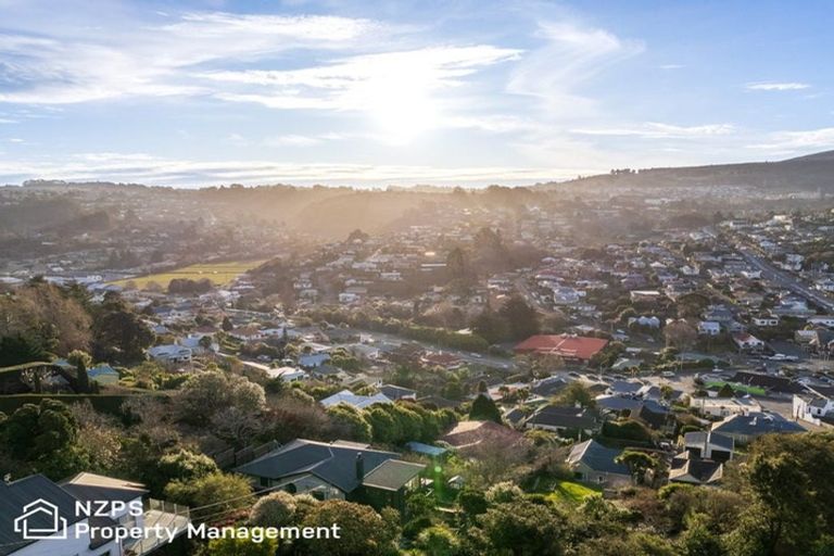 Photo of property in 45e Ann Street, Kaikorai, Dunedin, 9010