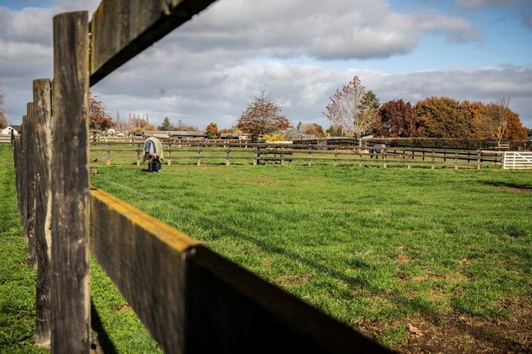 Photo of property in 2/101 Racecourse Road, Cambridge, 3493