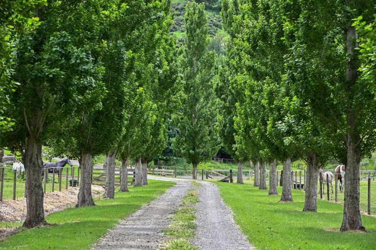 Photo of property in 65b Ngakoroa Road, Ormond, Gisborne, 4071