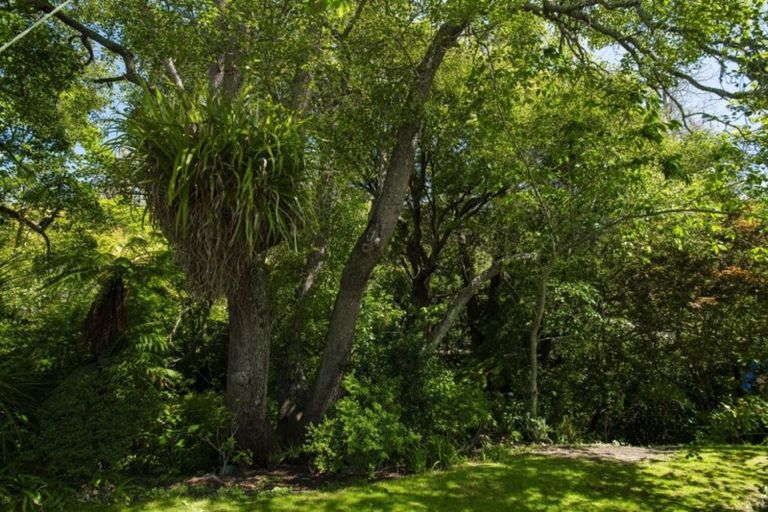 Photo of property in 11 Kingsley Street, Whataupoko, Gisborne, 4010