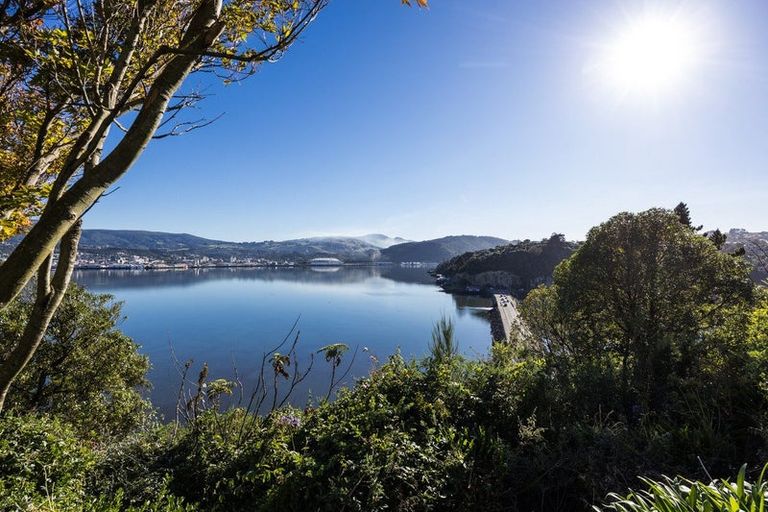 Photo of property in 20 Rewa Street, Musselburgh, Dunedin, 9013