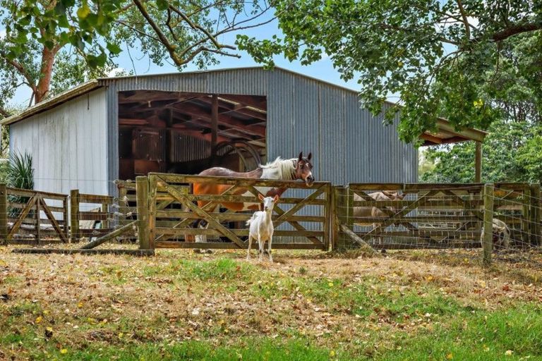 Photo of property in 232 Rimmer Road, Helensville, 0875