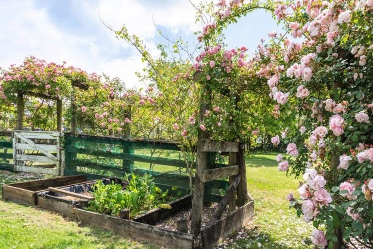 Photo of property in 525 Ness Valley Road, Ness Valley, Papakura, 2585